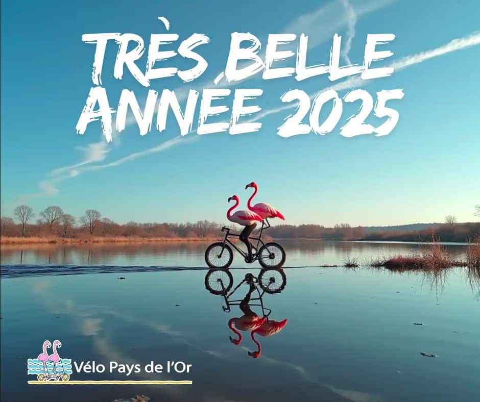 You are currently viewing Tous à vélo en 2025